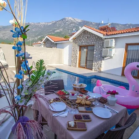 Vilă Likya Amber 2+1 Villa, Oezel Havuzlu, Fethiye